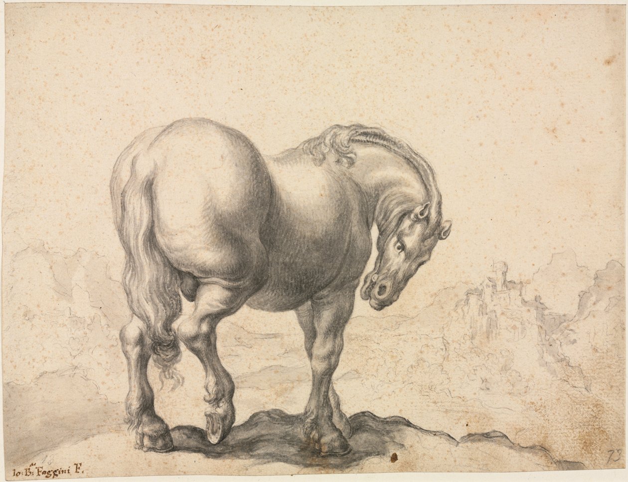 Studio di uno stallone, primo terzo del XVIII secolo da Giovanni Battista Foggini