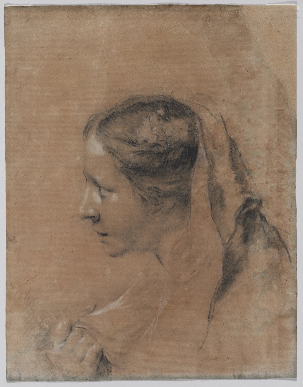 Testa di donna di profilo con sciarpa da Giovanni Battista Piazzetta