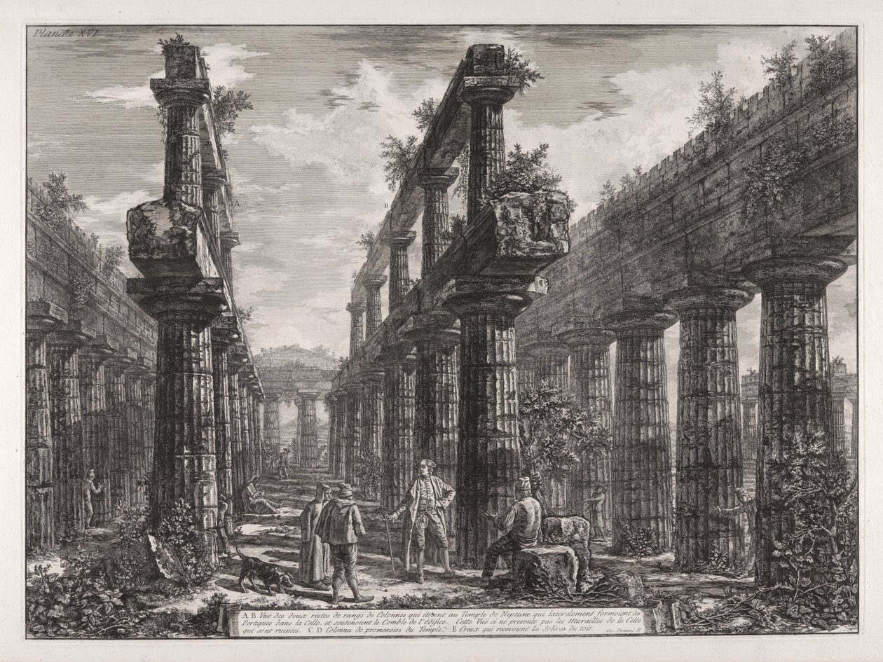 A., B. Veduta dei resti delle due file di colonne che si trovavano nel Tempio di Nettuno, che lateralmente formavano i portici nella cella e sostenevano la copertura dell