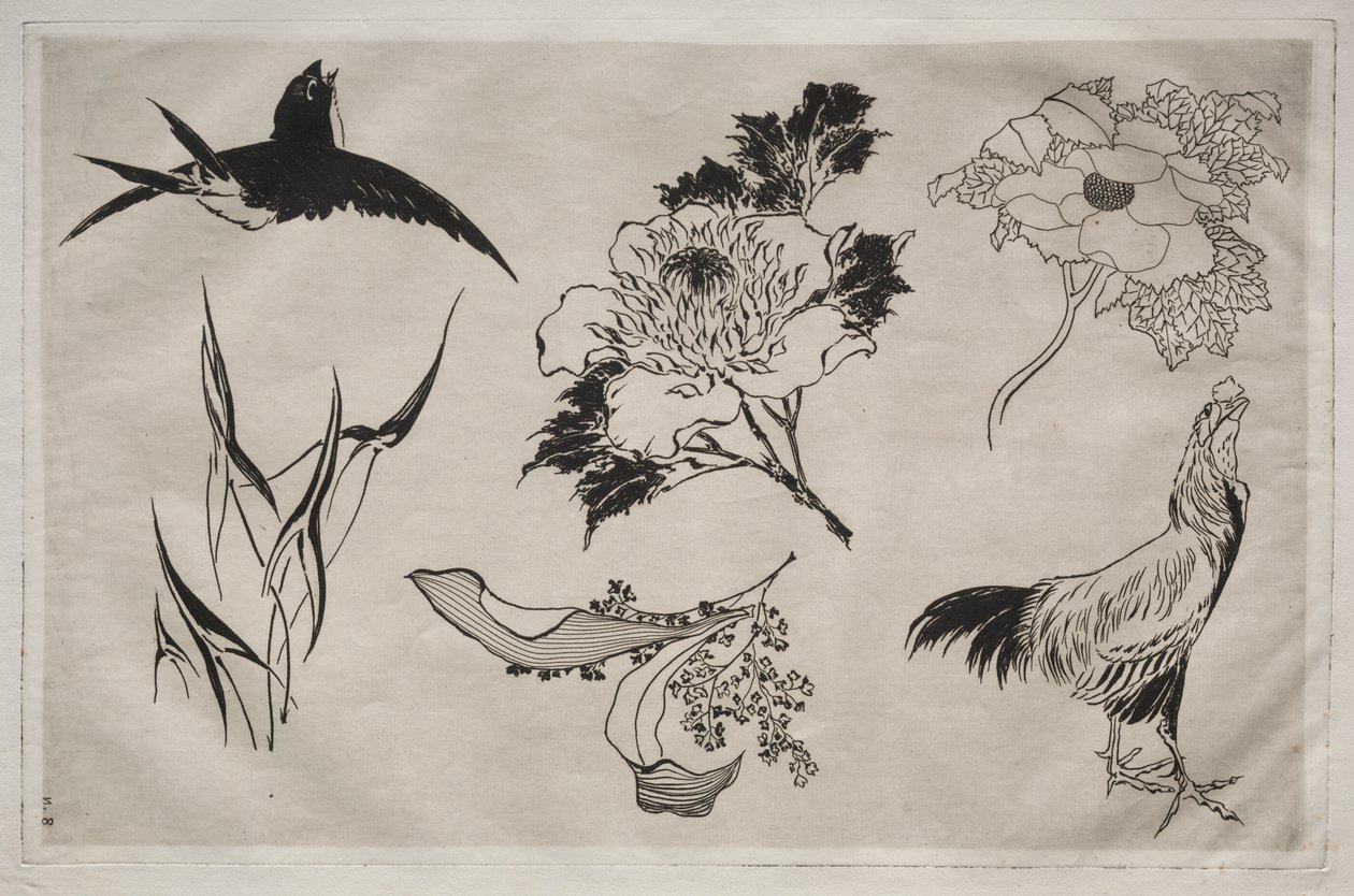 Servizio da tavola (servizio Rousseau): Rondine, gallo e fiori (n. 8) da Giovanni Battista Piranesi