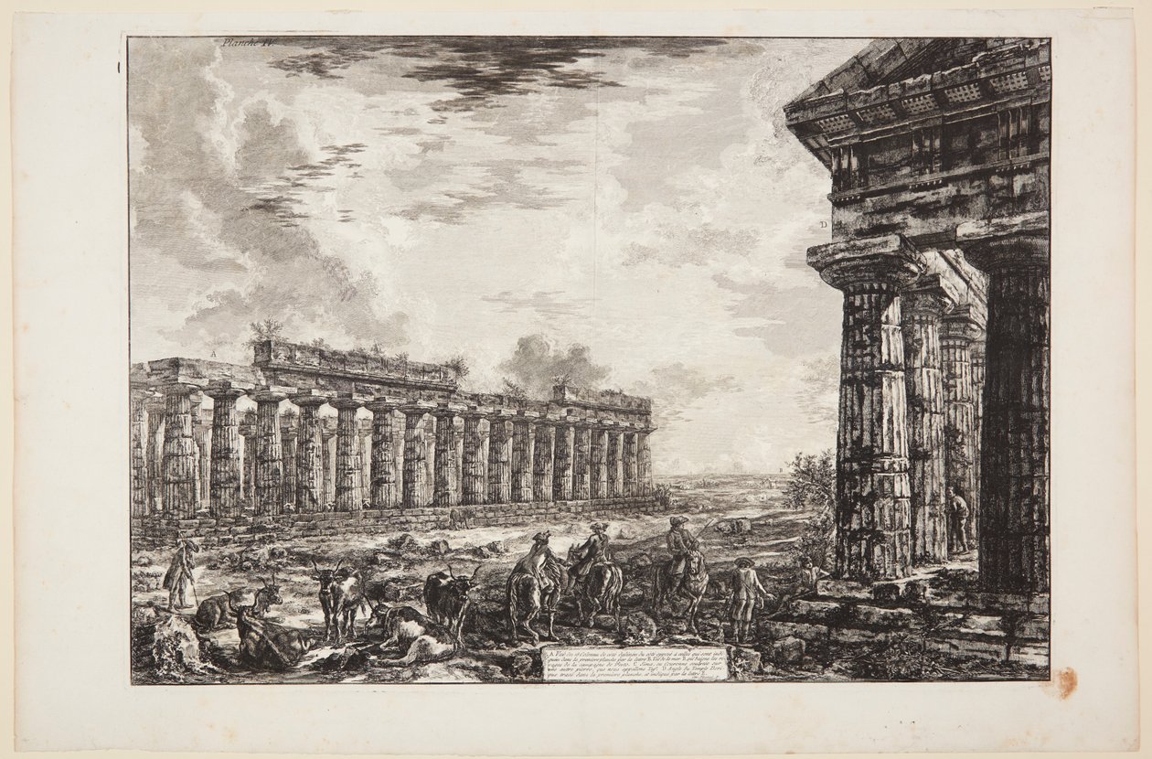 Veduta delle 18 colonne laterali, disegnata dal lato opposto a quello mostrato nella prima tavola [...] da Giovanni Battista Piranesi