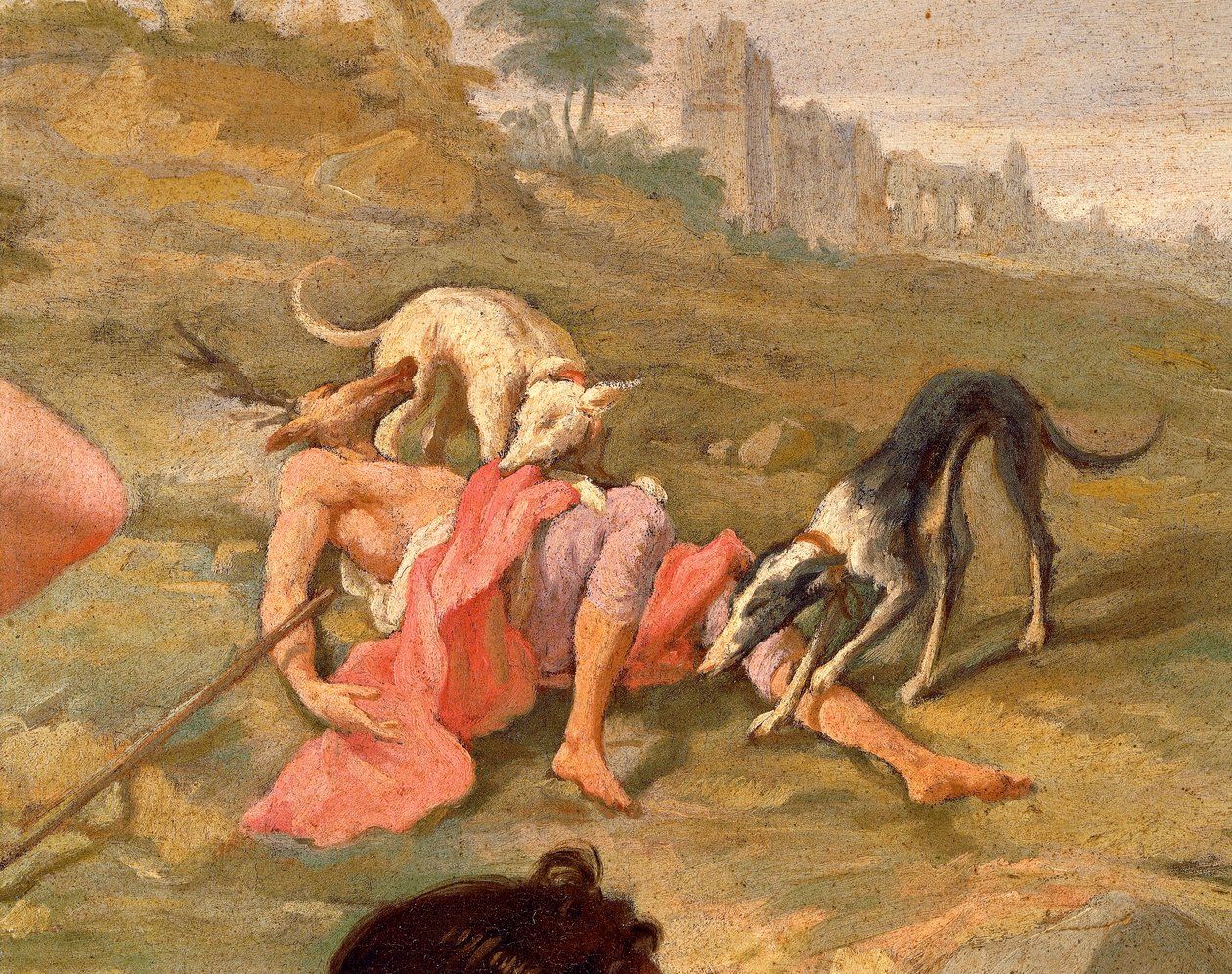 Diana e Atteone da Giovanni Battista Pittoni