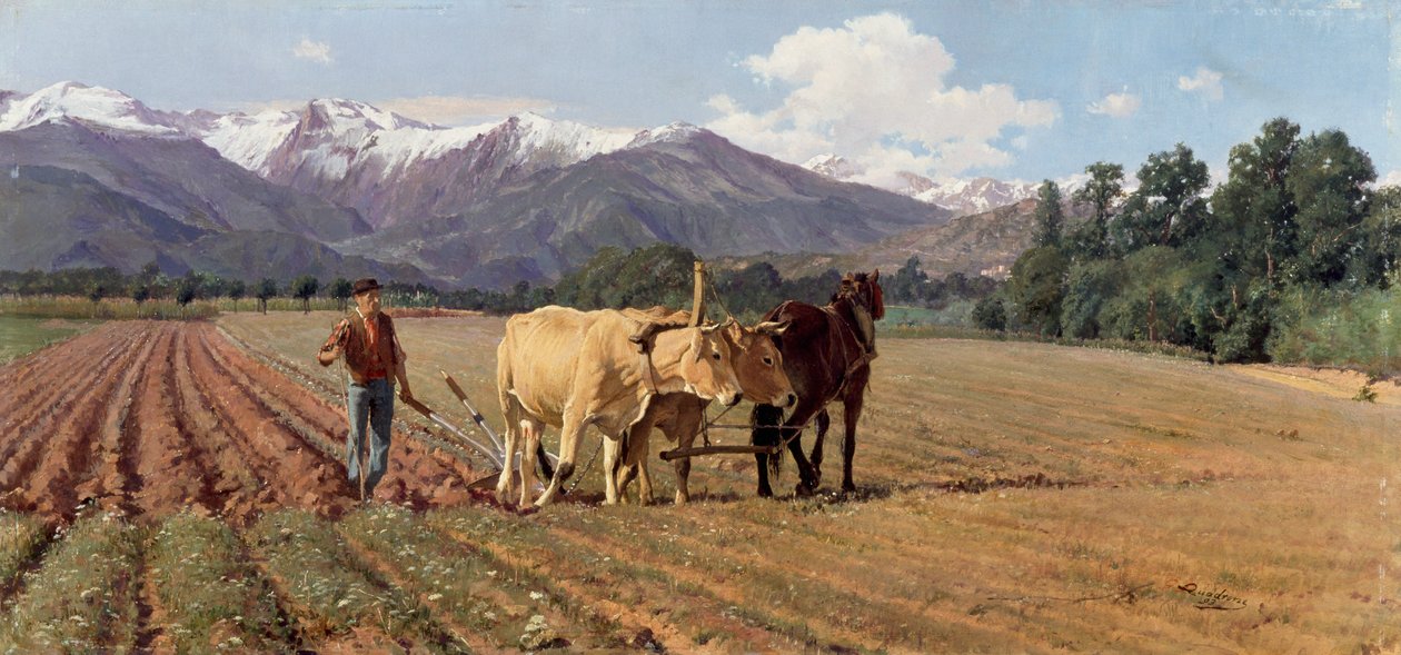 Aratura da Giovanni Battista Quadrone