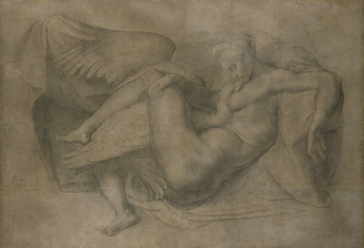 Leda e il cigno da Giovanni Battista Rosso Fiorentino