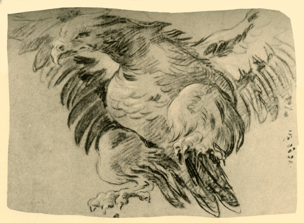 Aquila, 1751-1752, 1928 da Giovanni Battista Tiepolo