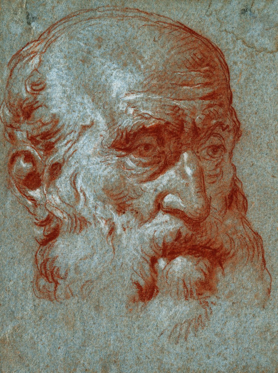 Testa di un patrizio veneziano, tre quarti di volto da Giovanni Battista Tiepolo