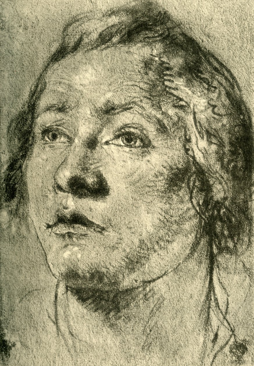 Testa di un giovane uomo da Giovanni Battista Tiepolo