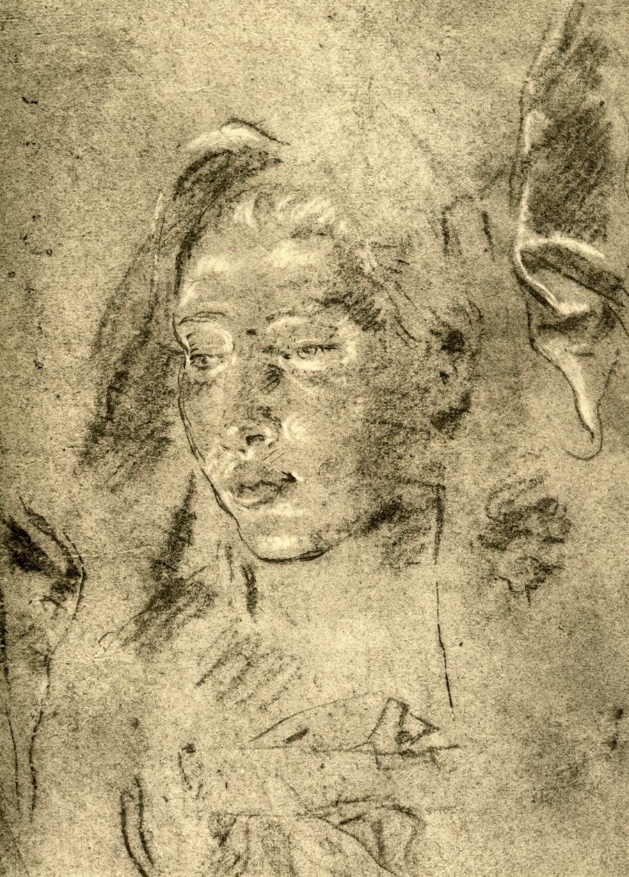 Testa di una giovane donna, metà XVIII secolo, 1928 da Giovanni Battista Tiepolo