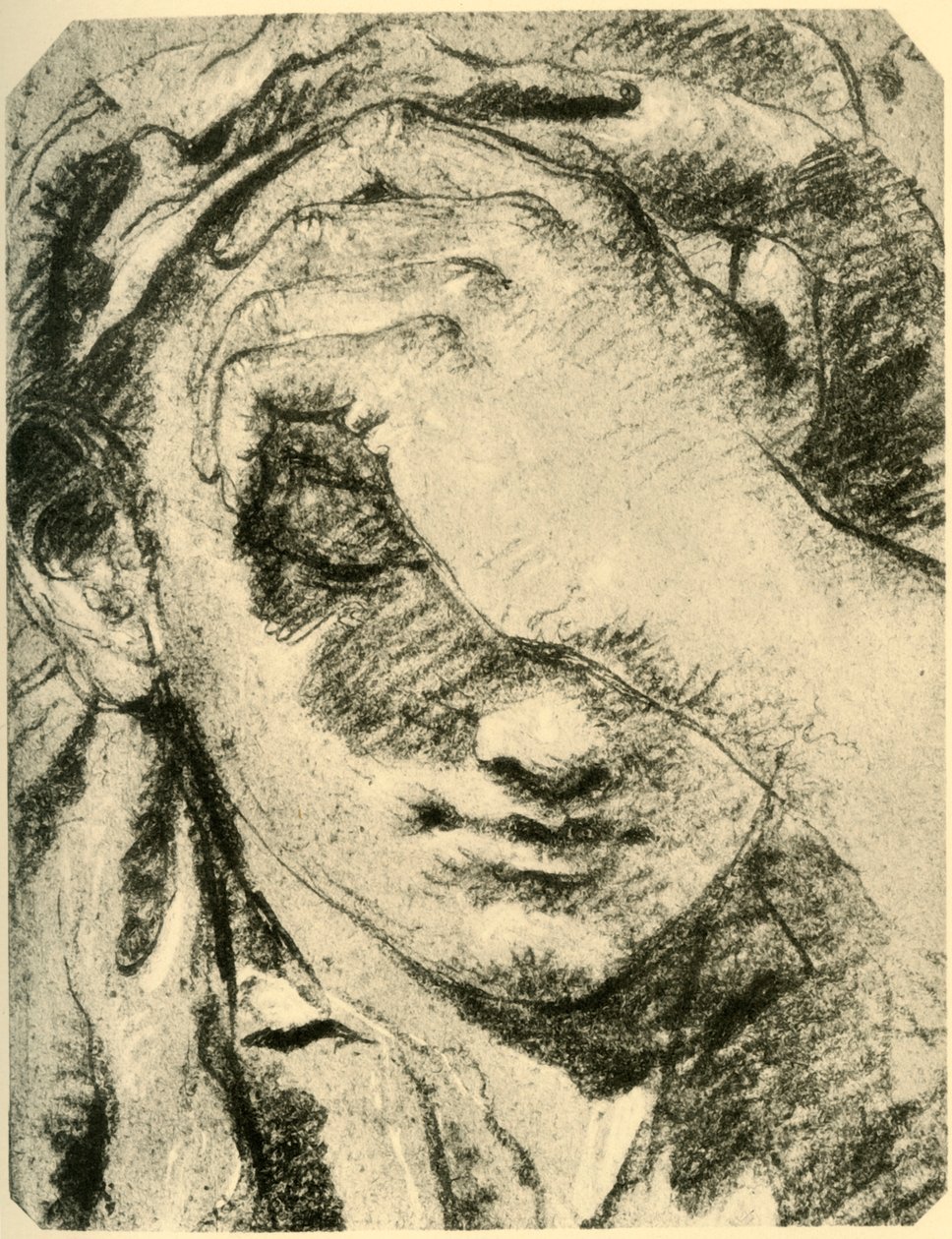 Testa di una giovane donna, metà XVIII secolo da Giovanni Battista Tiepolo