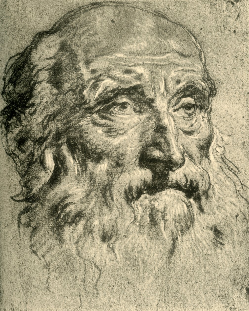 Testa di un vecchio, metà del XVIII secolo da Giovanni Battista Tiepolo