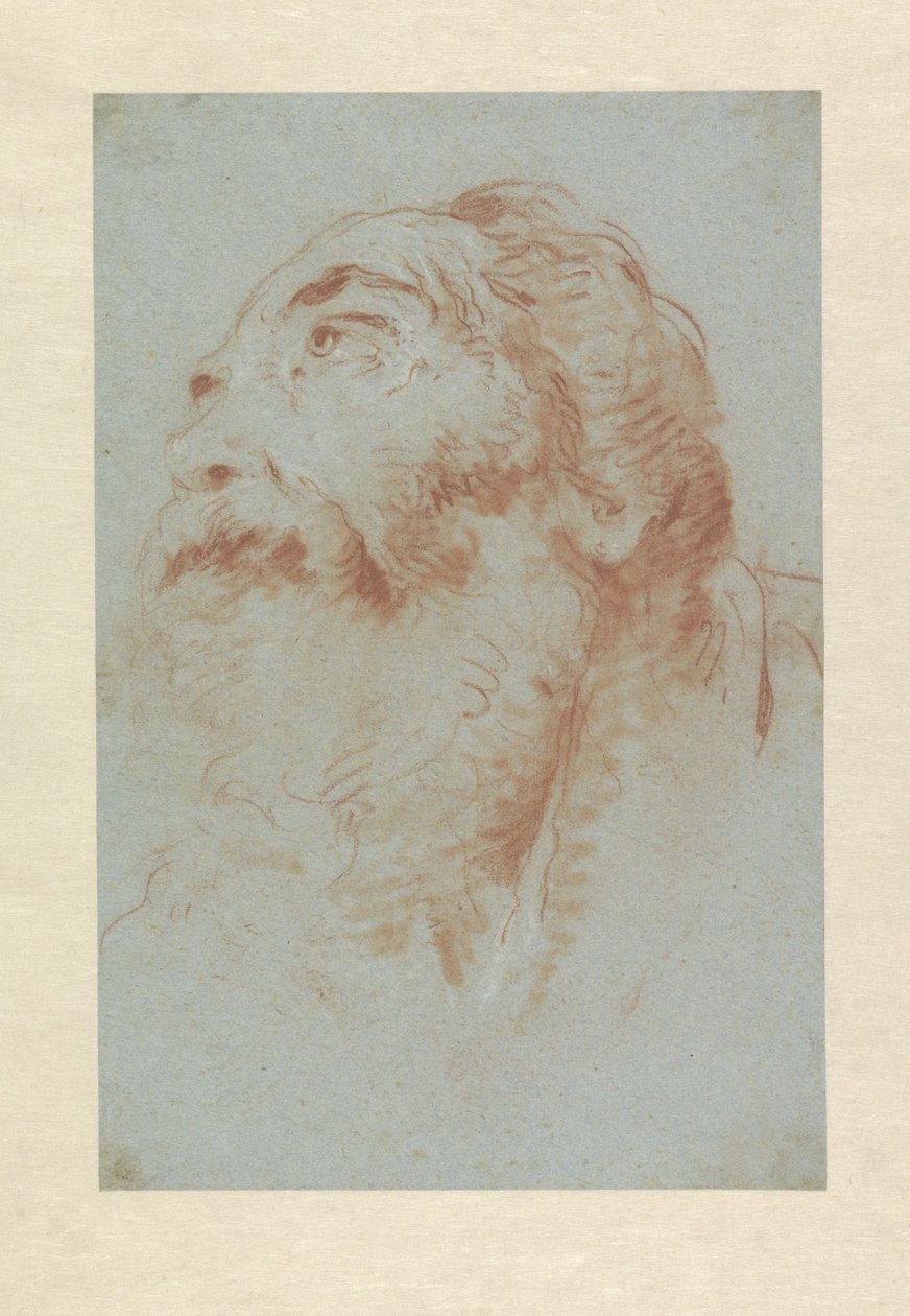 Testa di un vecchio da Giovanni Battista Tiepolo