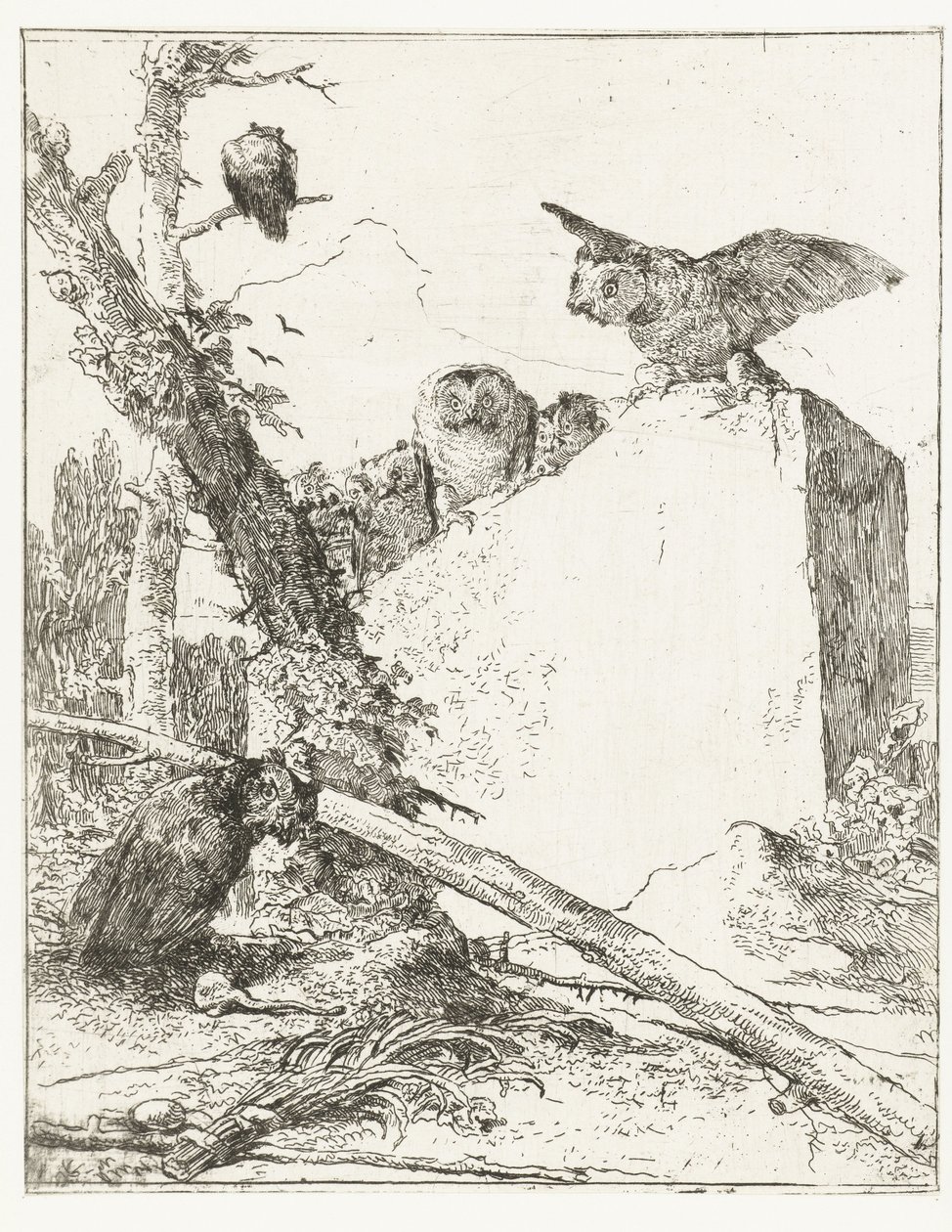 Frontespizio per Scherzi di fantasia con gufi su una pietra da Giovanni Battista Tiepolo