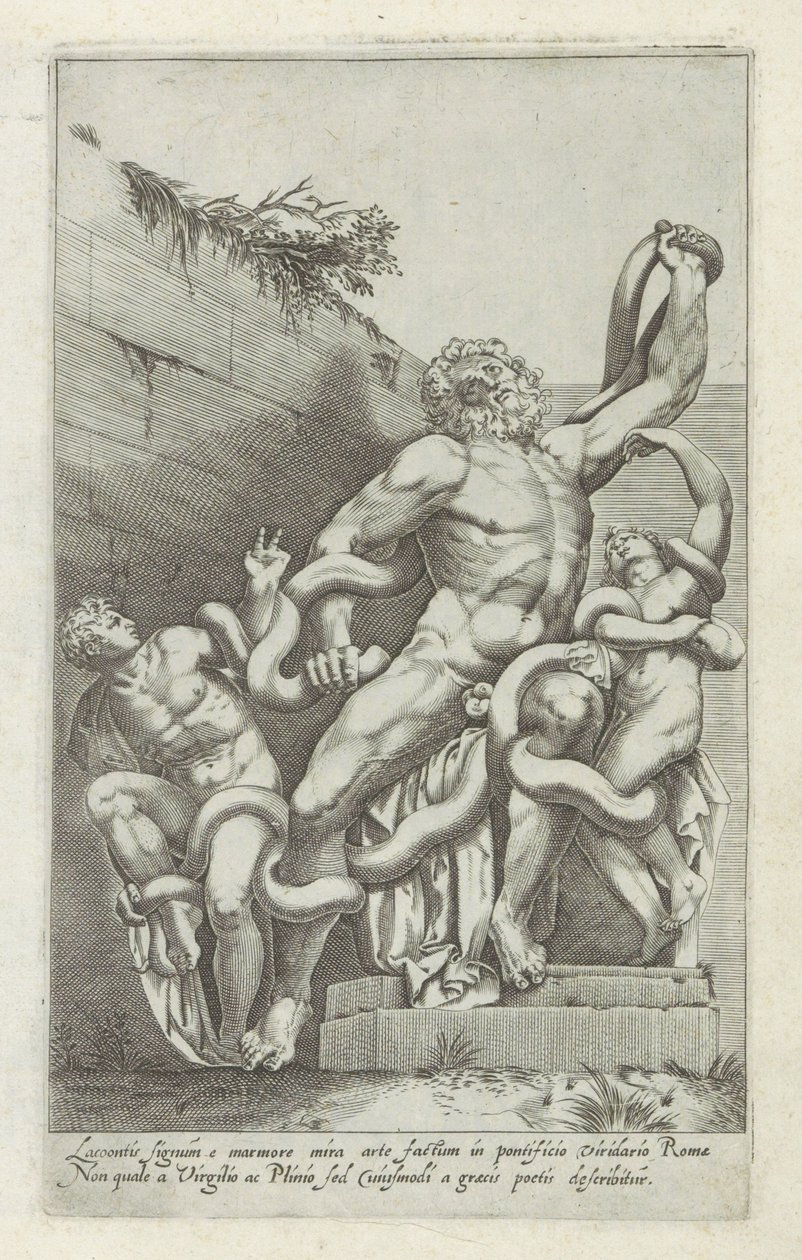 Gruppo del Laocoonte da Giovanni Battista de