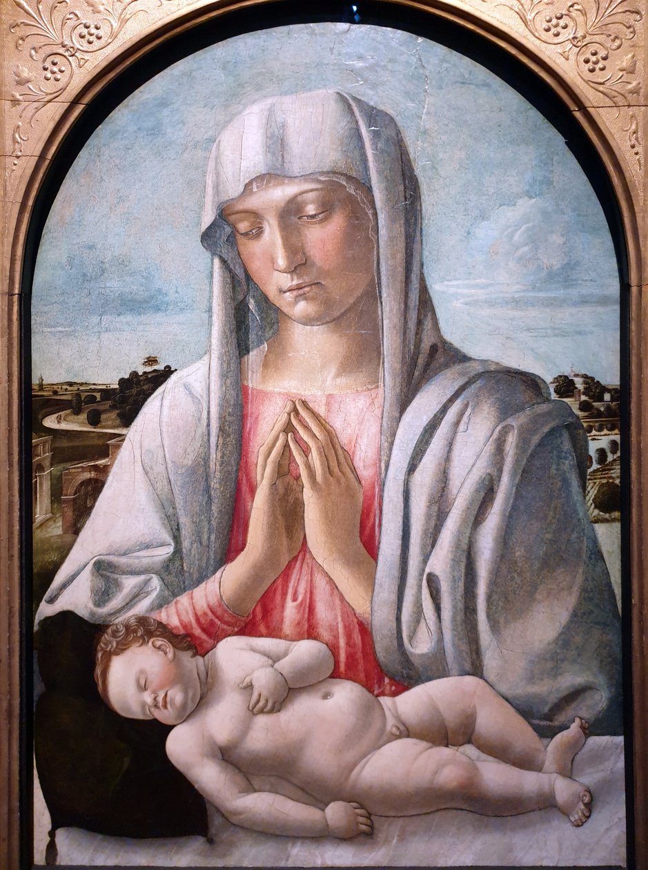 Madonna che adora il bambino addormentato da Giovanni Bellini