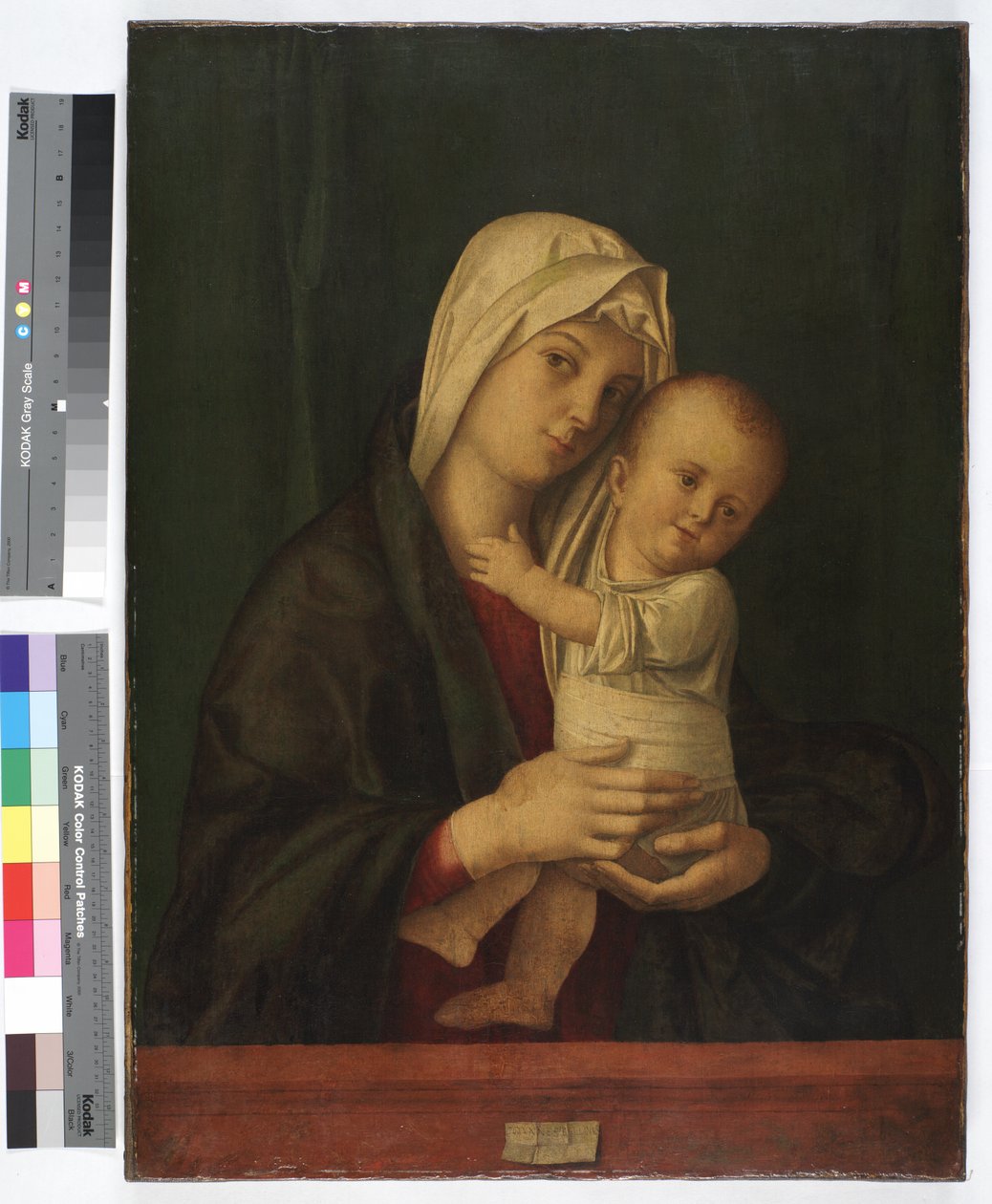 Madonna col Bambino, c.1489 da Giovanni Bellini