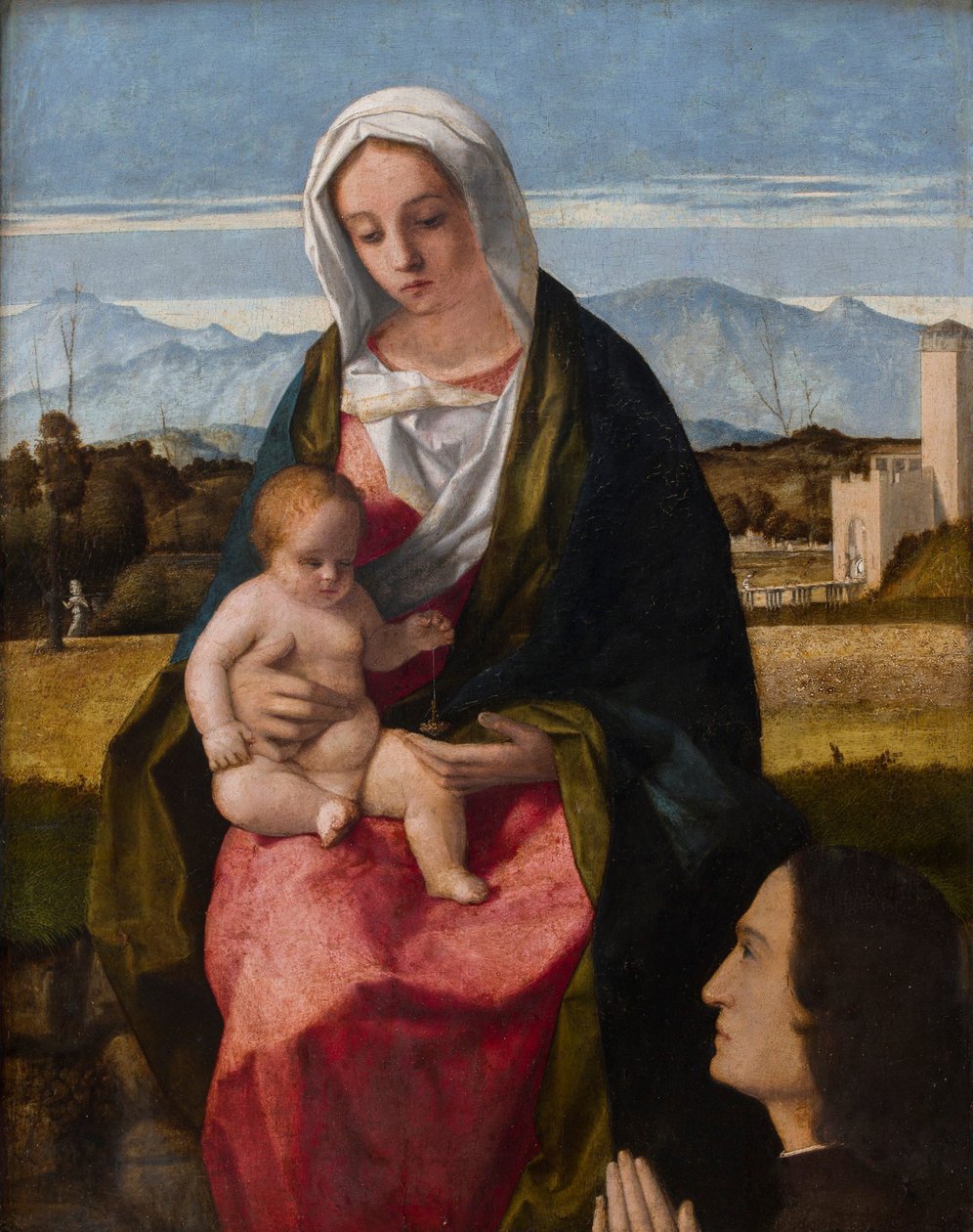 Madonna con Bambino e donatore da Giovanni Bellini