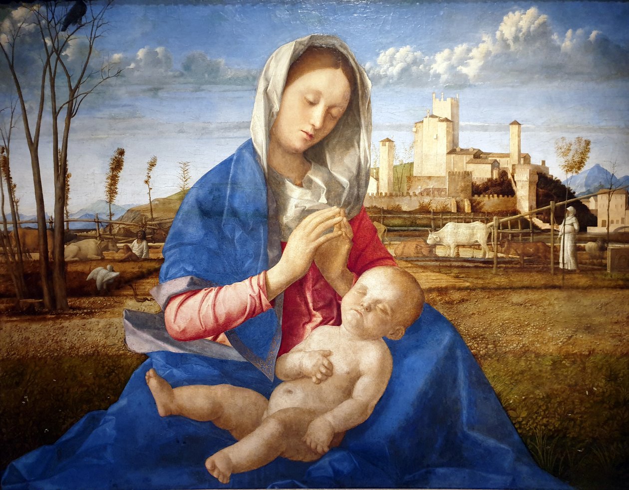 Madonna del prato da Giovanni Bellini