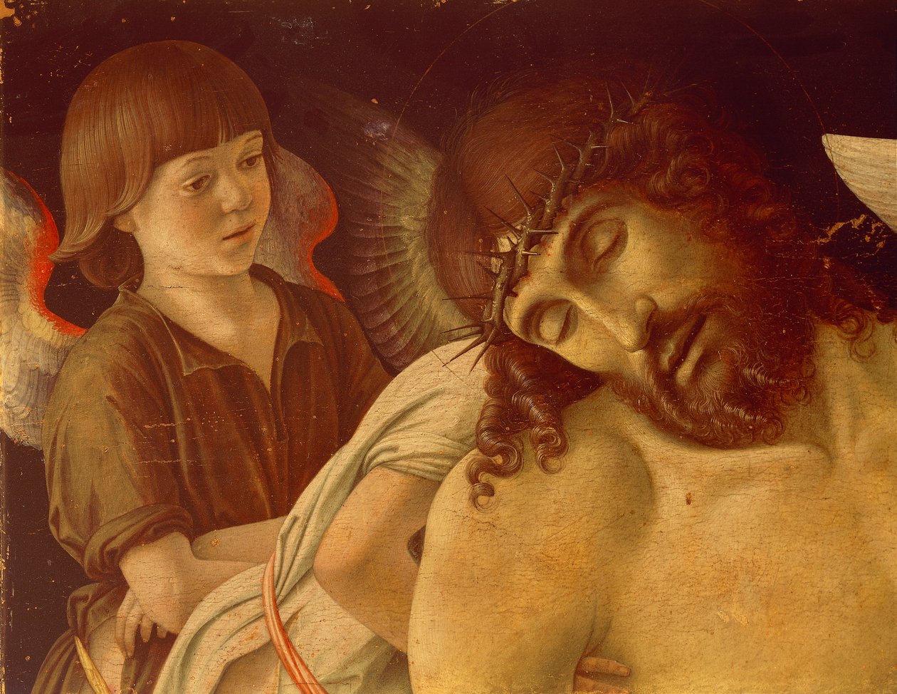 Pietà o Cristo morto sorretto dagli angeli (dettaglio) da Giovanni Bellini