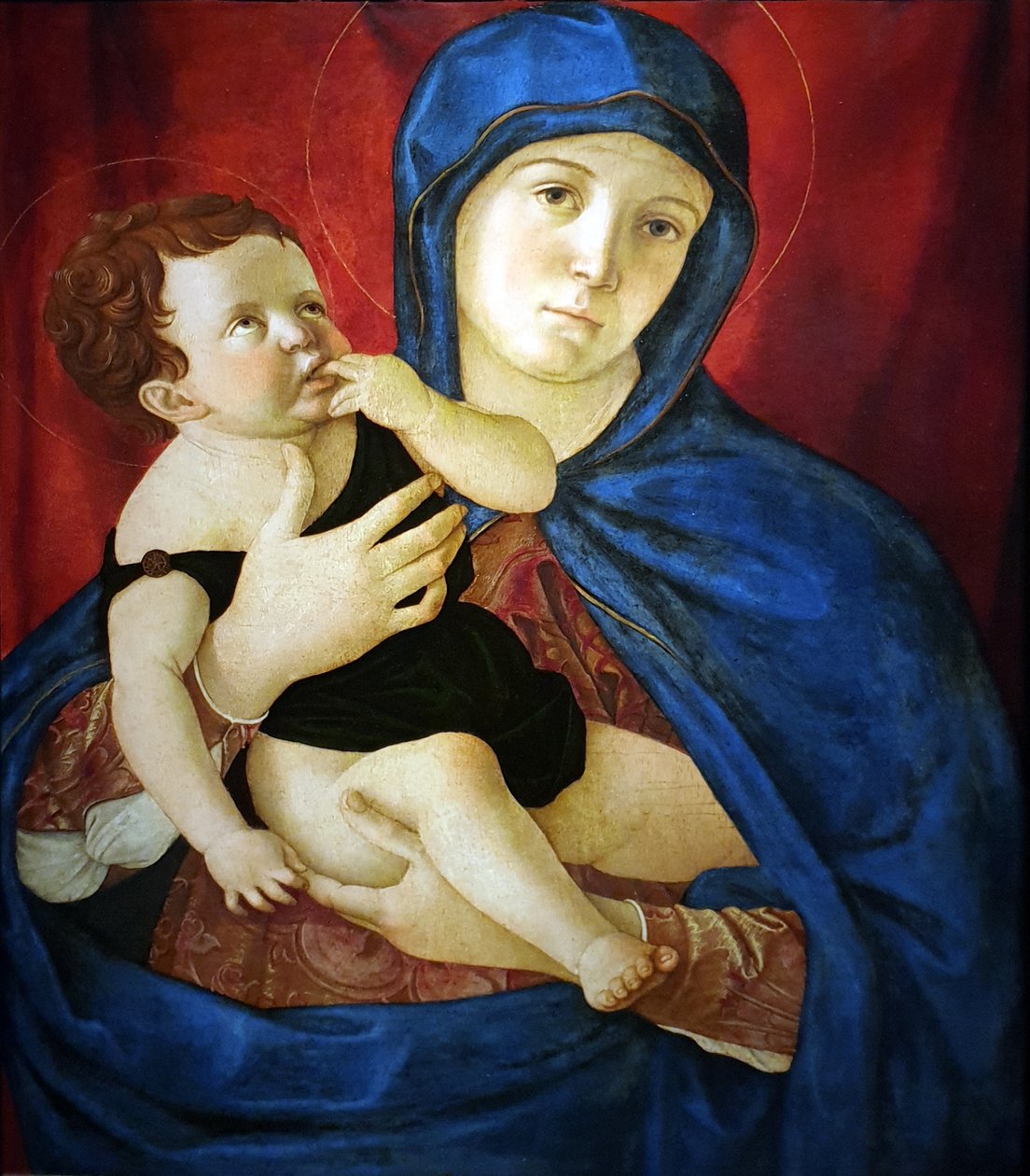 La Vergine e il Bambino da Giovanni Bellini