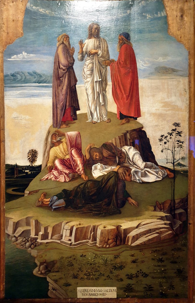 Trasfigurazione di Cristo da Giovanni Bellini