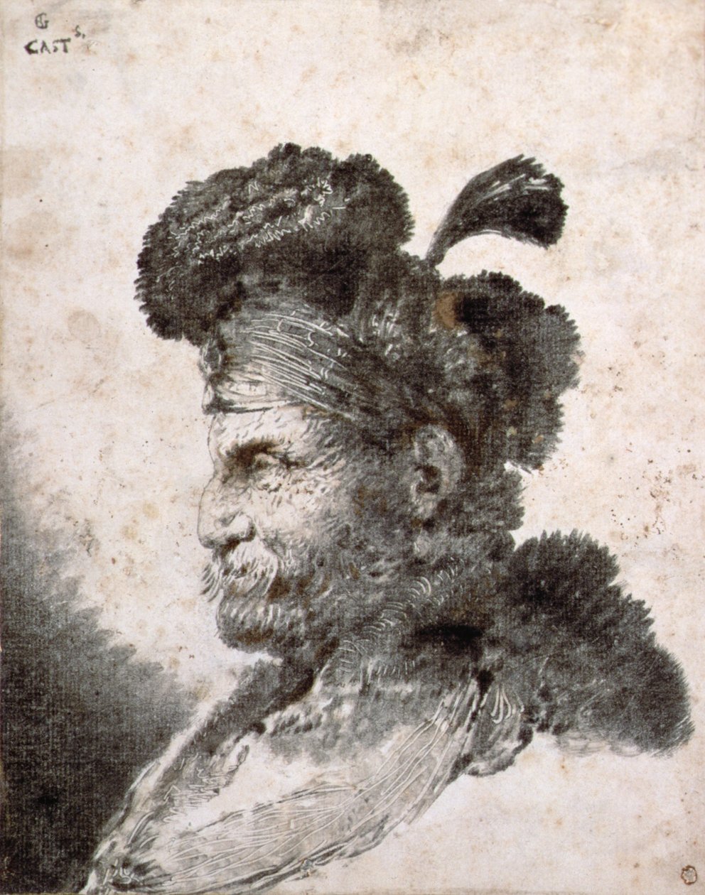 Testa di un orientale di profilo a sinistra da Giovanni Benedetto Castiglione