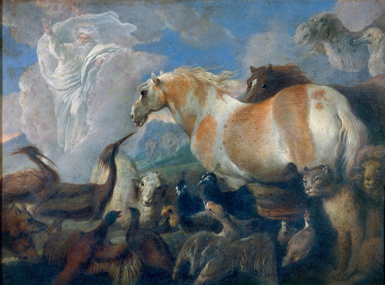La creazione da Giovanni Benedetto Castiglione