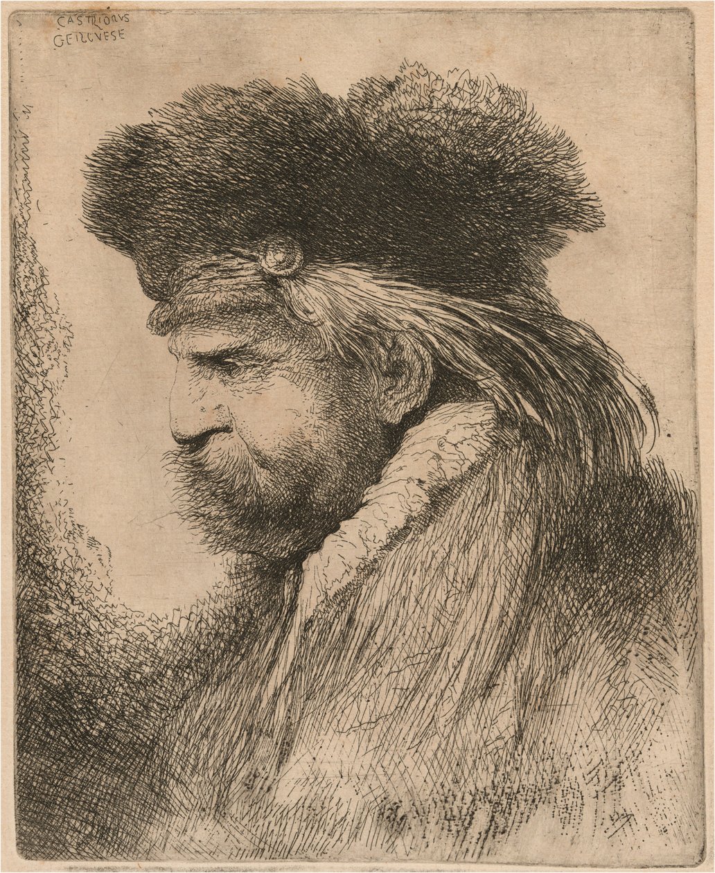 Uomo barbuto con cappello di pelliccia, rivolto a sinistra da Giovanni Benedetto Castiglione