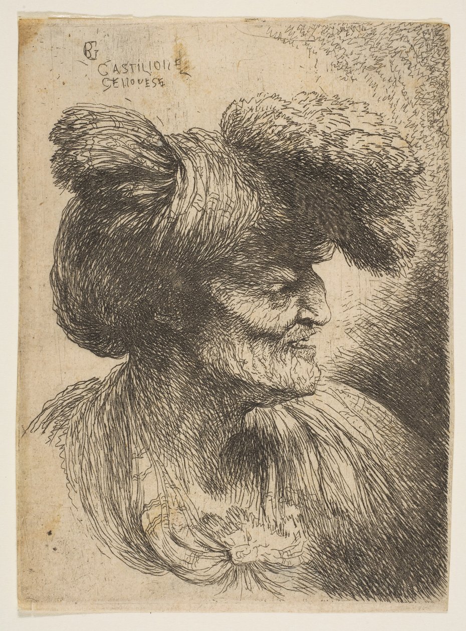 Busto di vecchio senza barba di profilo rivolto a destra, dalla serie di Teste Piccole da Giovanni Benedetto Castiglione