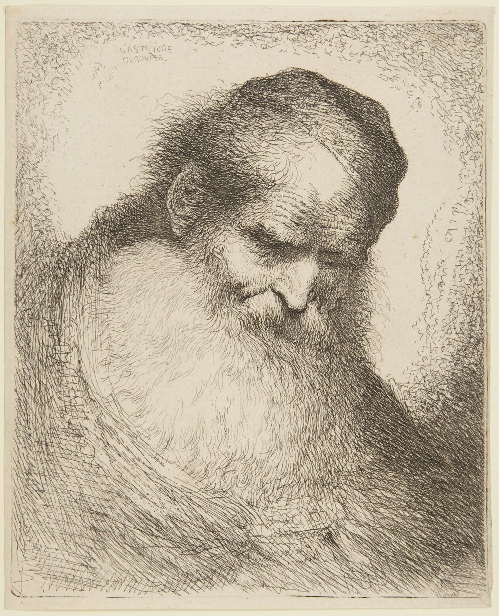 Testa di un vecchio barbuto da Giovanni Benedetto Castiglione