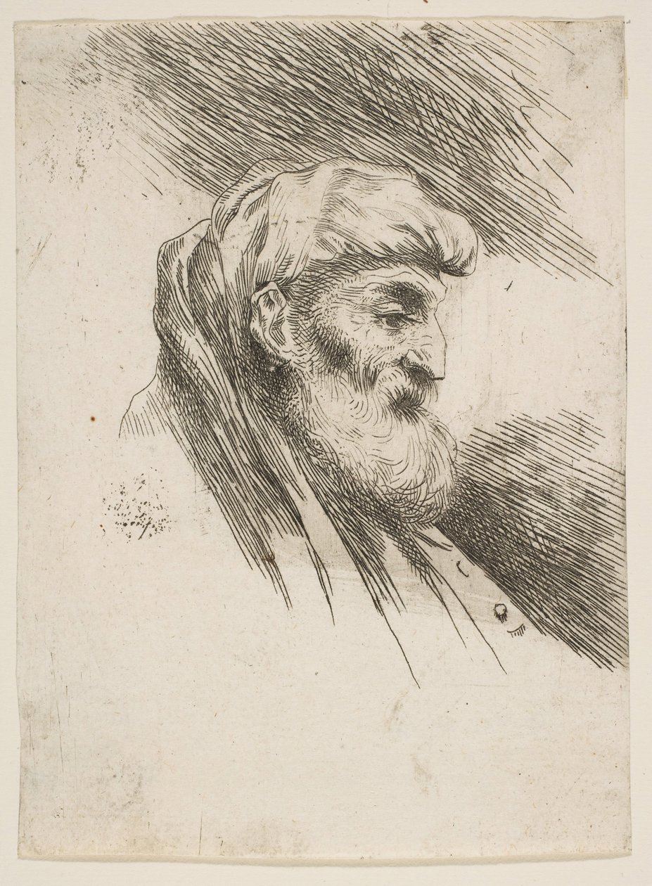 Testa di un vecchio barbuto rivolto a destra, dalla serie di Piccole Teste in Oriente da Giovanni Benedetto Castiglione