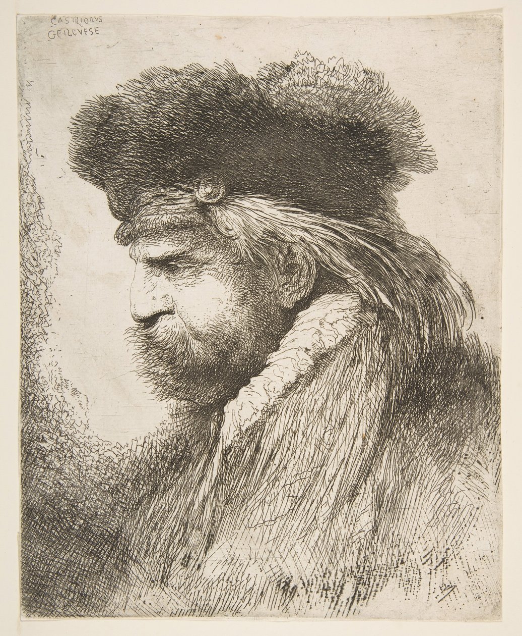 Testa di un vecchio che guarda a sinistra, dalla serie di Grandi Teste Orientali da Giovanni Benedetto Castiglione