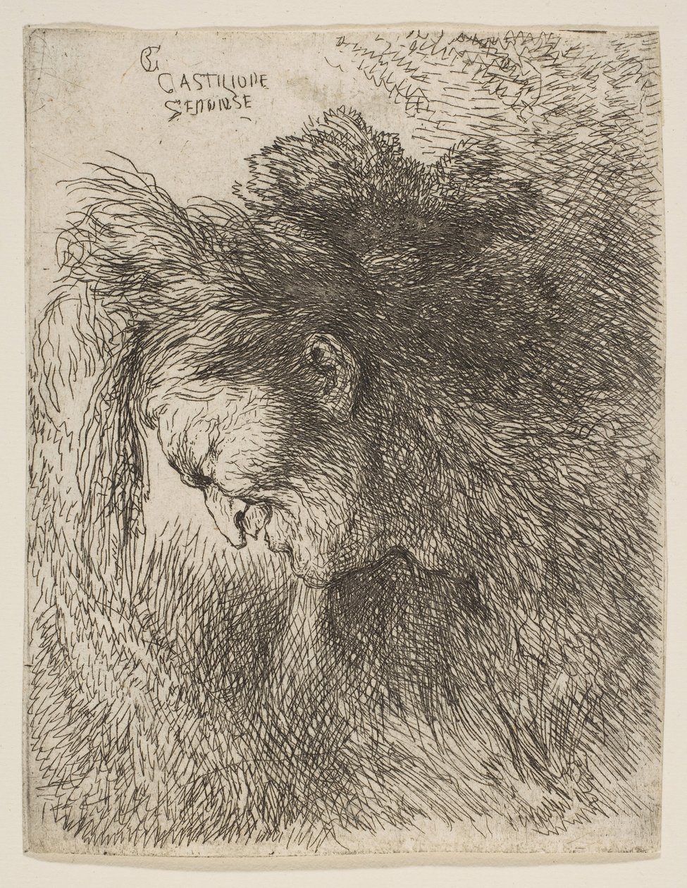 Testa di un vecchio che guarda in basso, rivolto a sinistra, dalla serie di Piccole Teste da Giovanni Benedetto Castiglione