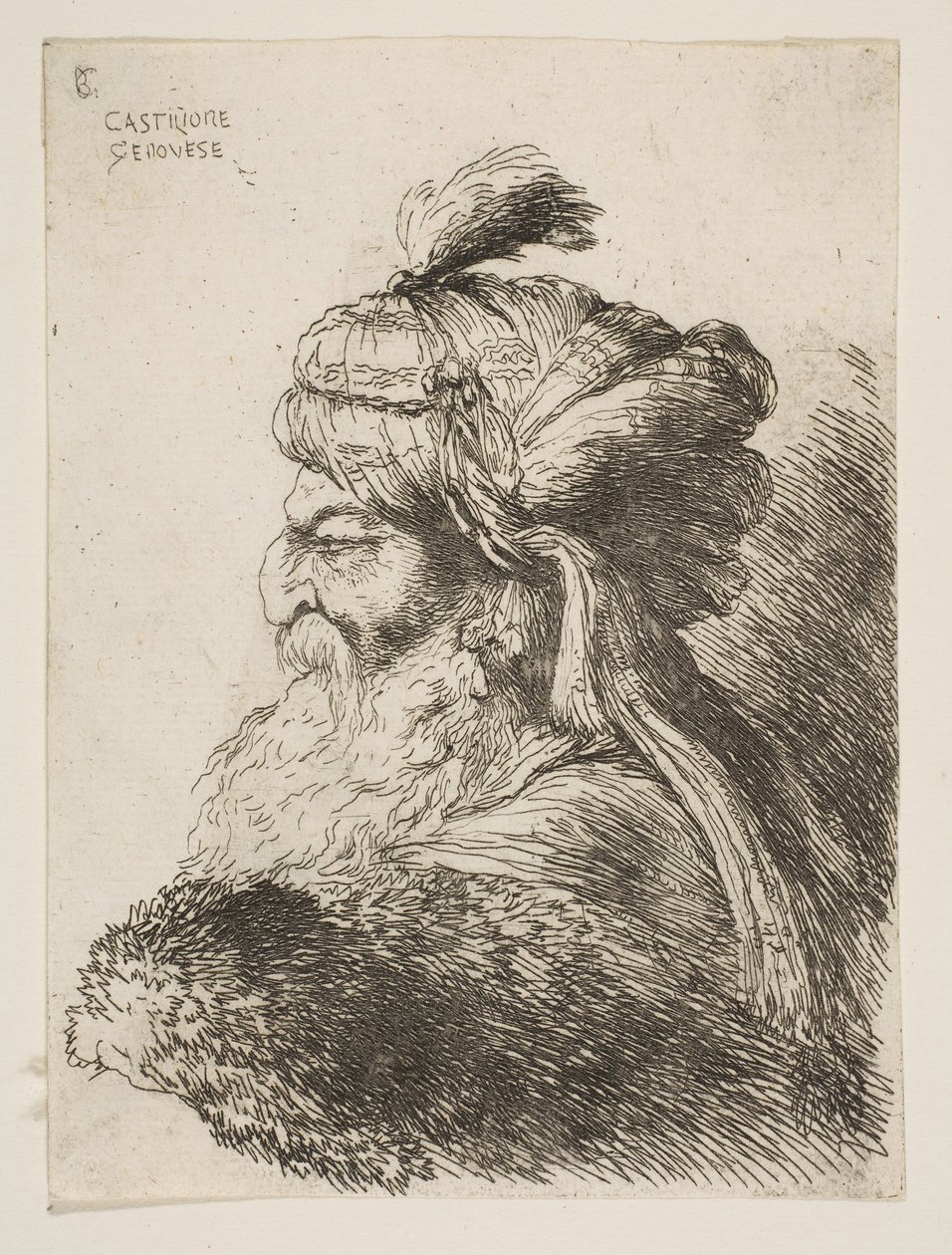 Testa di un vecchio con turbante rivolto a sinistra, dalla serie di Piccole Teste, ca. 1645-1650 da Giovanni Benedetto Castiglione