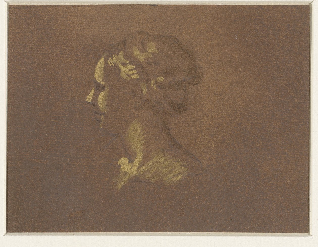 Testa di ragazza da Giovanni Benedetto Castiglione