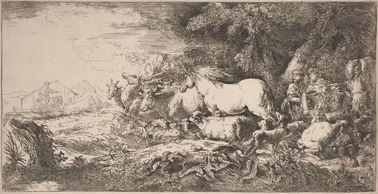 Gli animali verso l