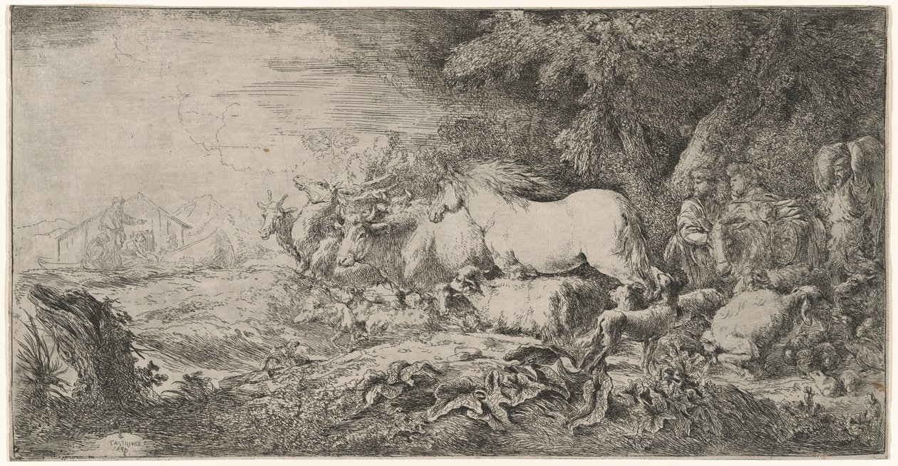 Gli Animali Verso l