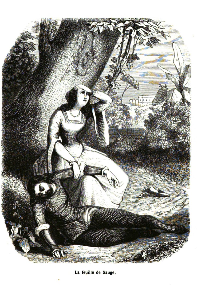 Decameron - Giorno 4, racconto 7 - La foglia di salvia da Giovanni Boccaccio
