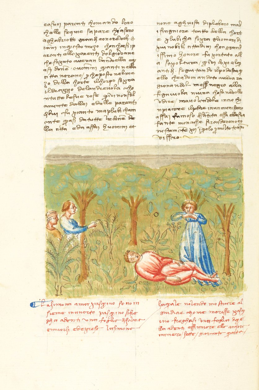 Decameron, La pianta della salvia - Morte di Pasquino , Quarta giornata, racconto 7. da Giovanni Boccaccio