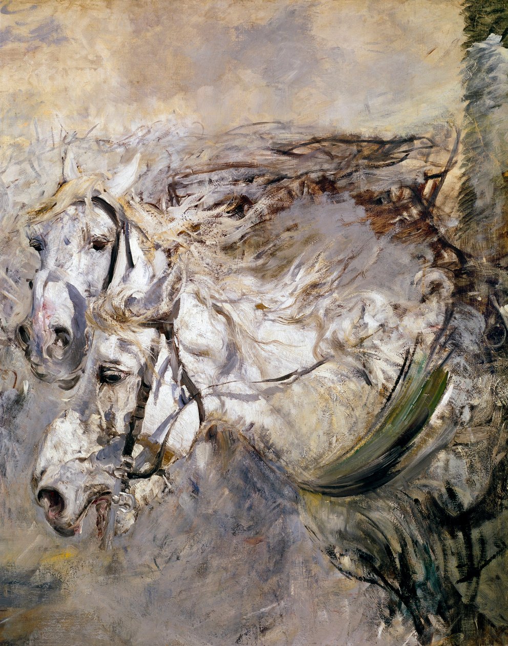 Due cavalli bianchi | Giovanni Boldini | Stampa d'arte