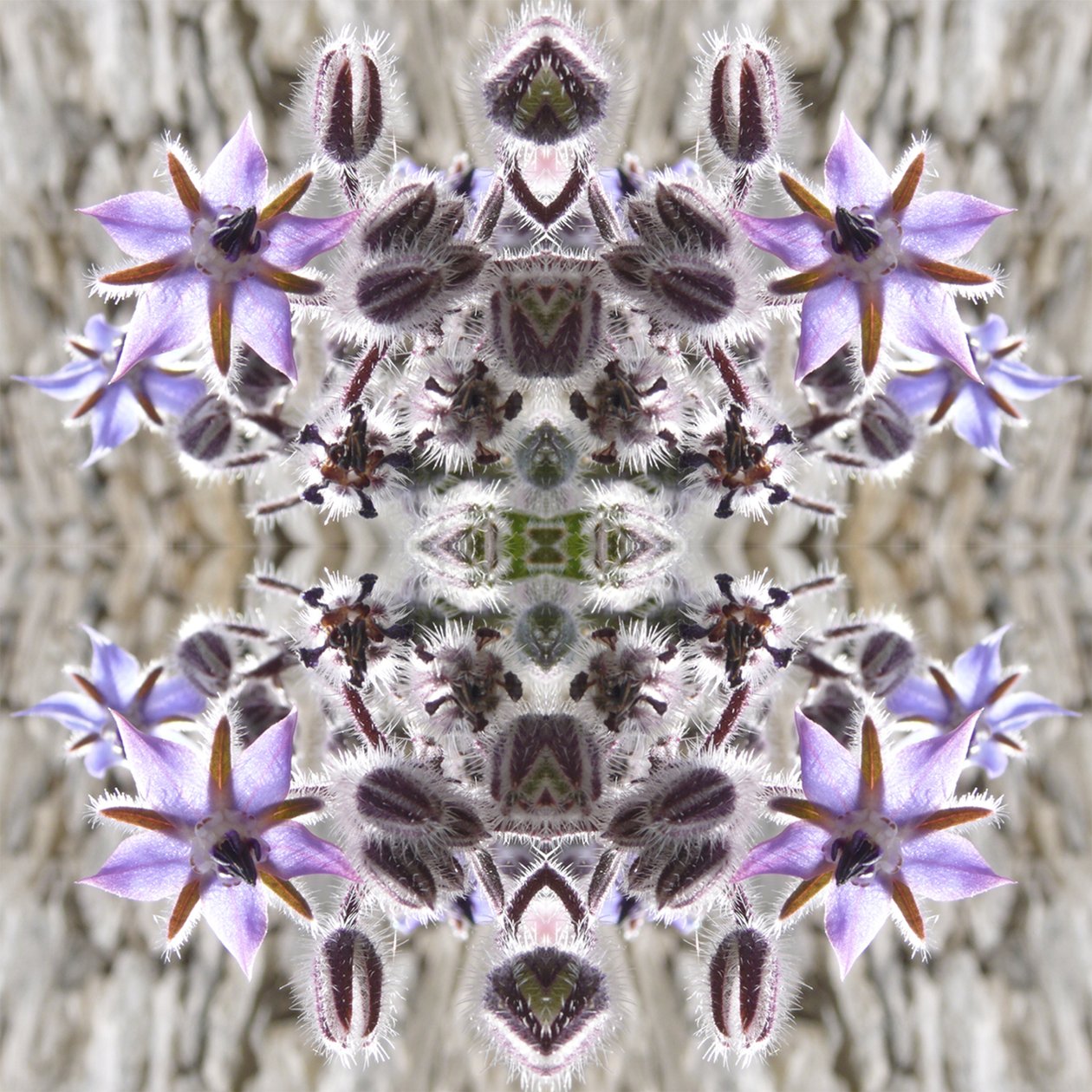 Unnatural 159 da Giovanni Cafagna
