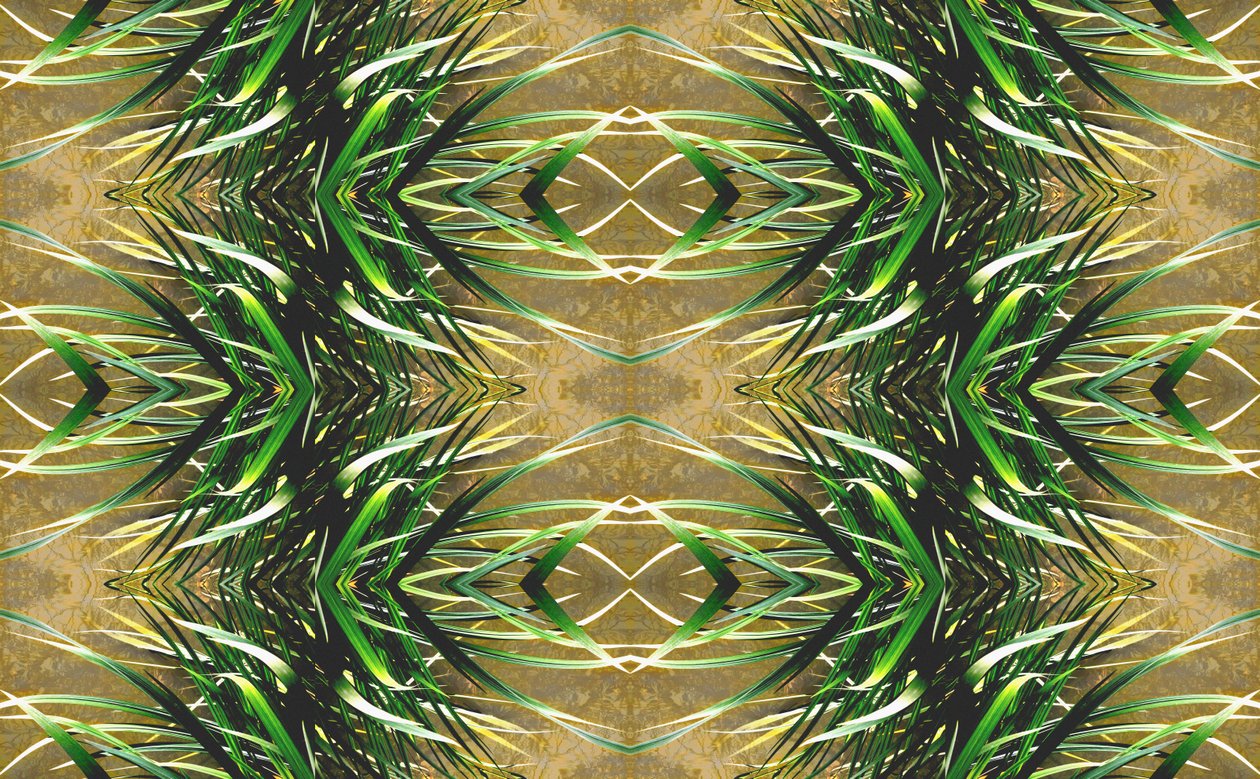 Innaturale 16 da Giovanni Cafagna