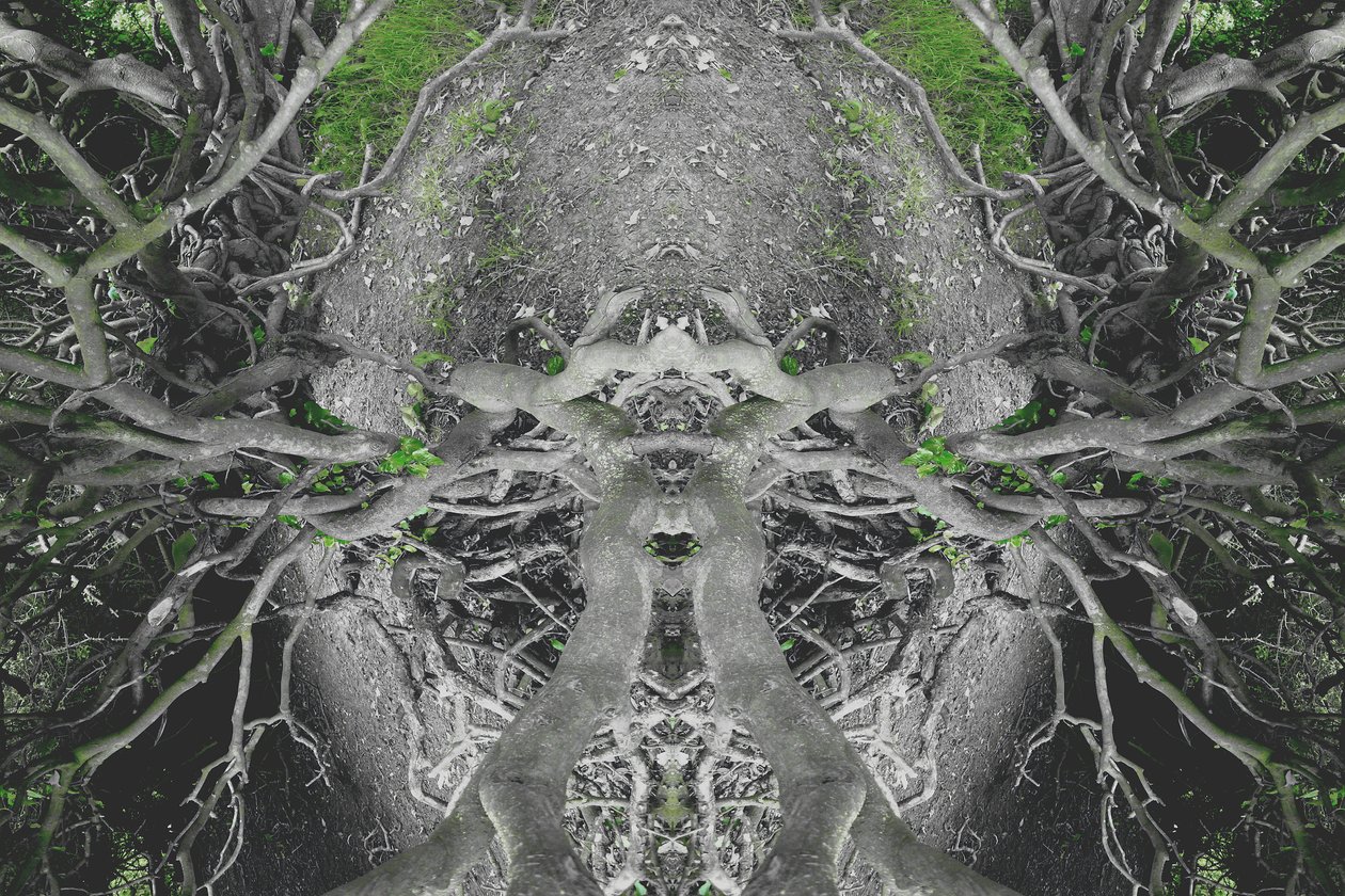Innaturale 42 da Giovanni Cafagna