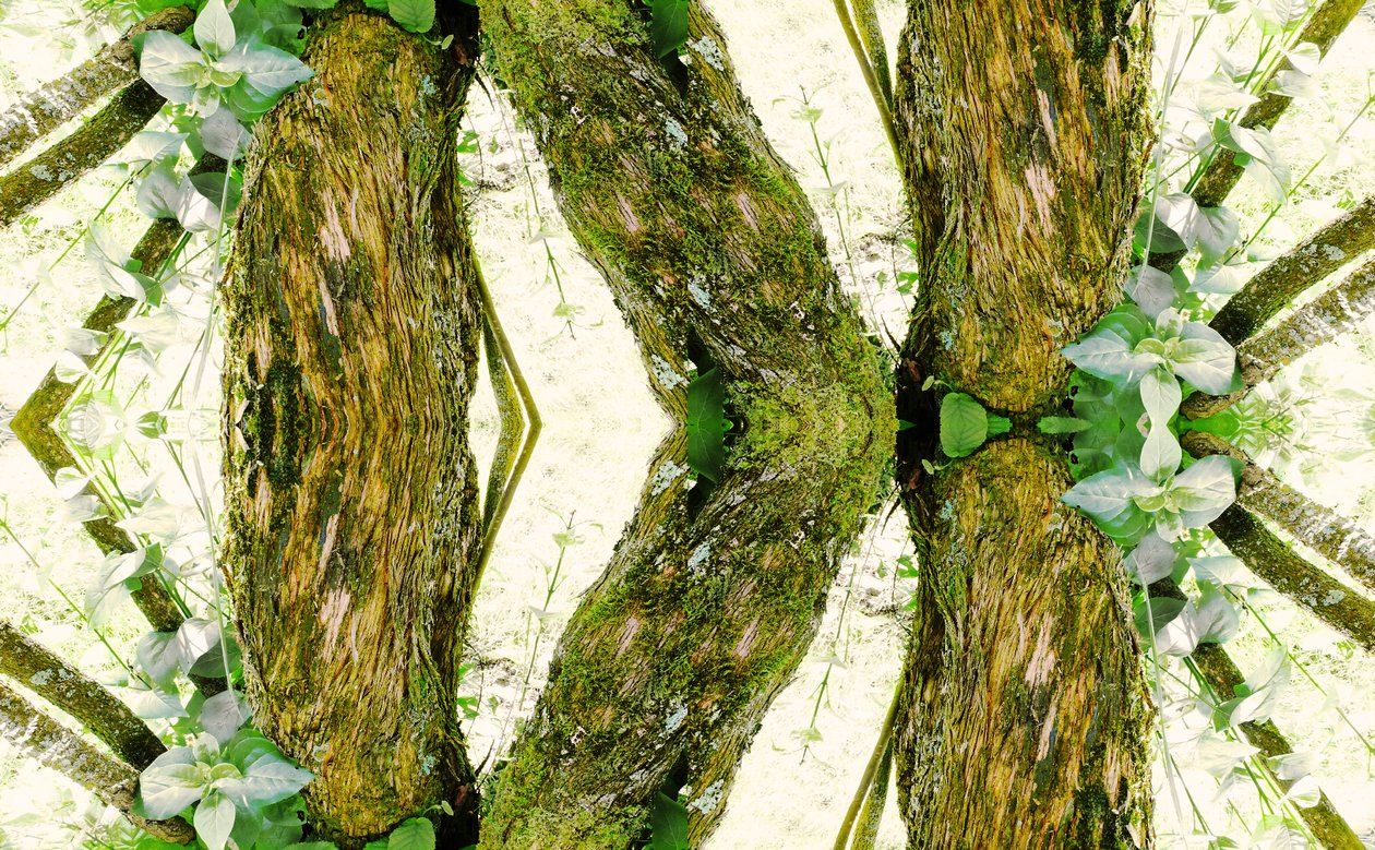 Innaturale 45 da Giovanni Cafagna