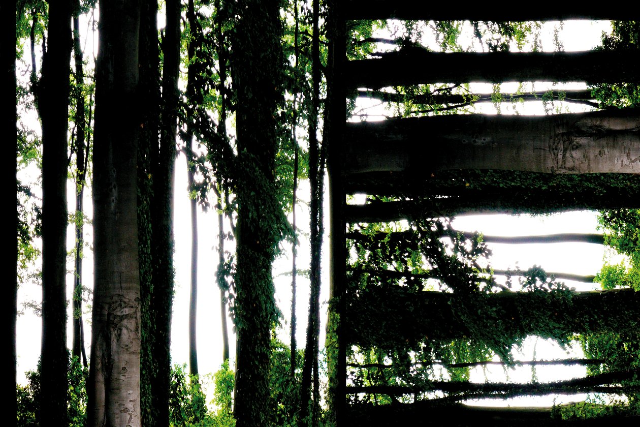 Innaturale 55 da Giovanni Cafagna