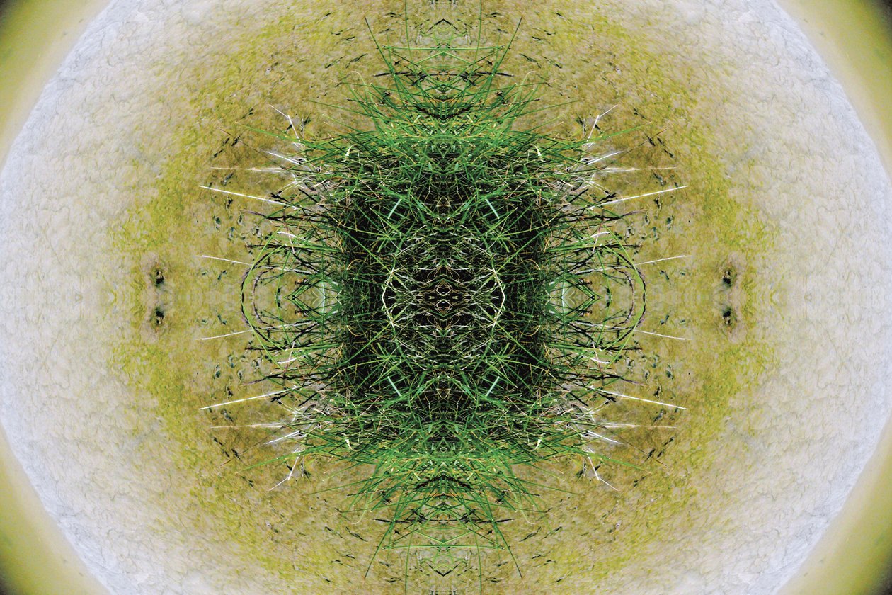 Innaturale 6.1 da Giovanni Cafagna