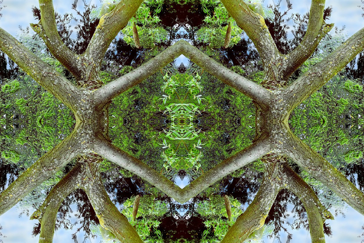 Innaturale 65.2 da Giovanni Cafagna