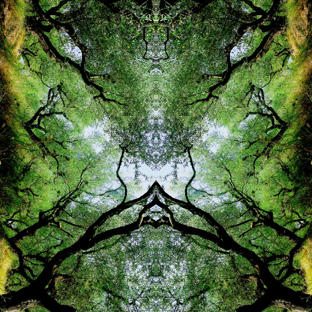 Innaturale 75 da Giovanni Cafagna