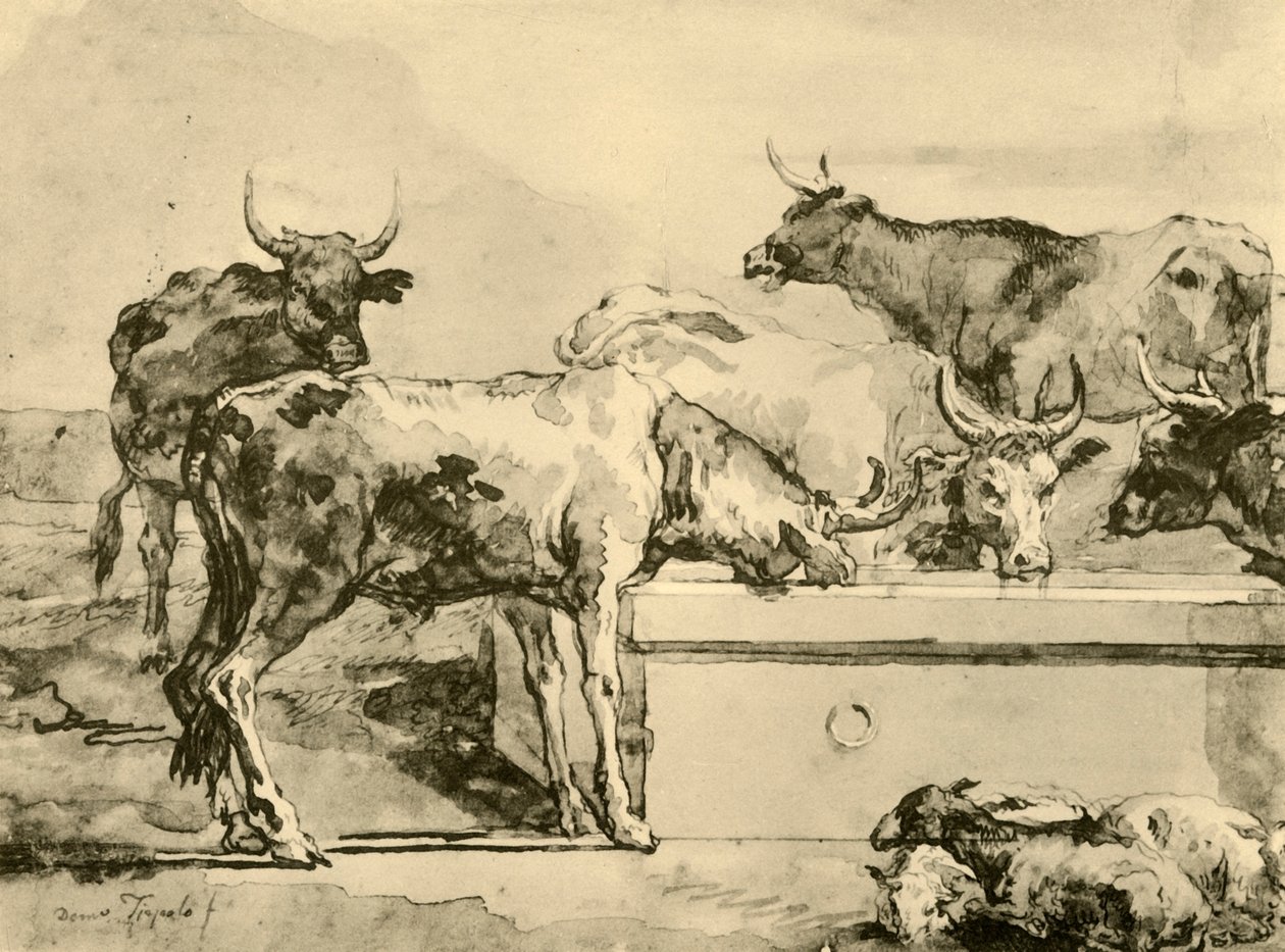Mucche che si abbeverano, metà-fine XVIII secolo, 1928 da Giovanni Domenico Tiepolo