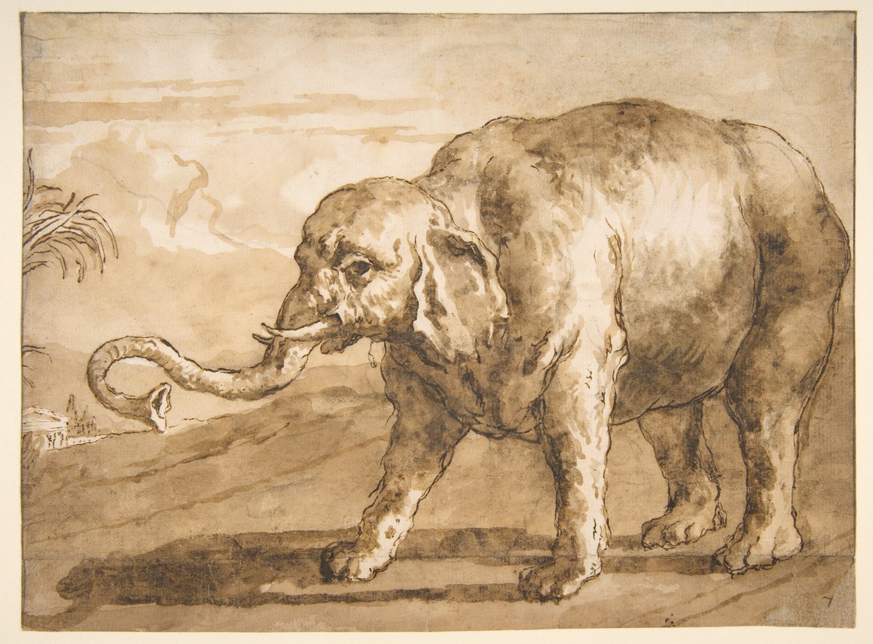 Elefante in un paesaggio da Giovanni Domenico Tiepolo
