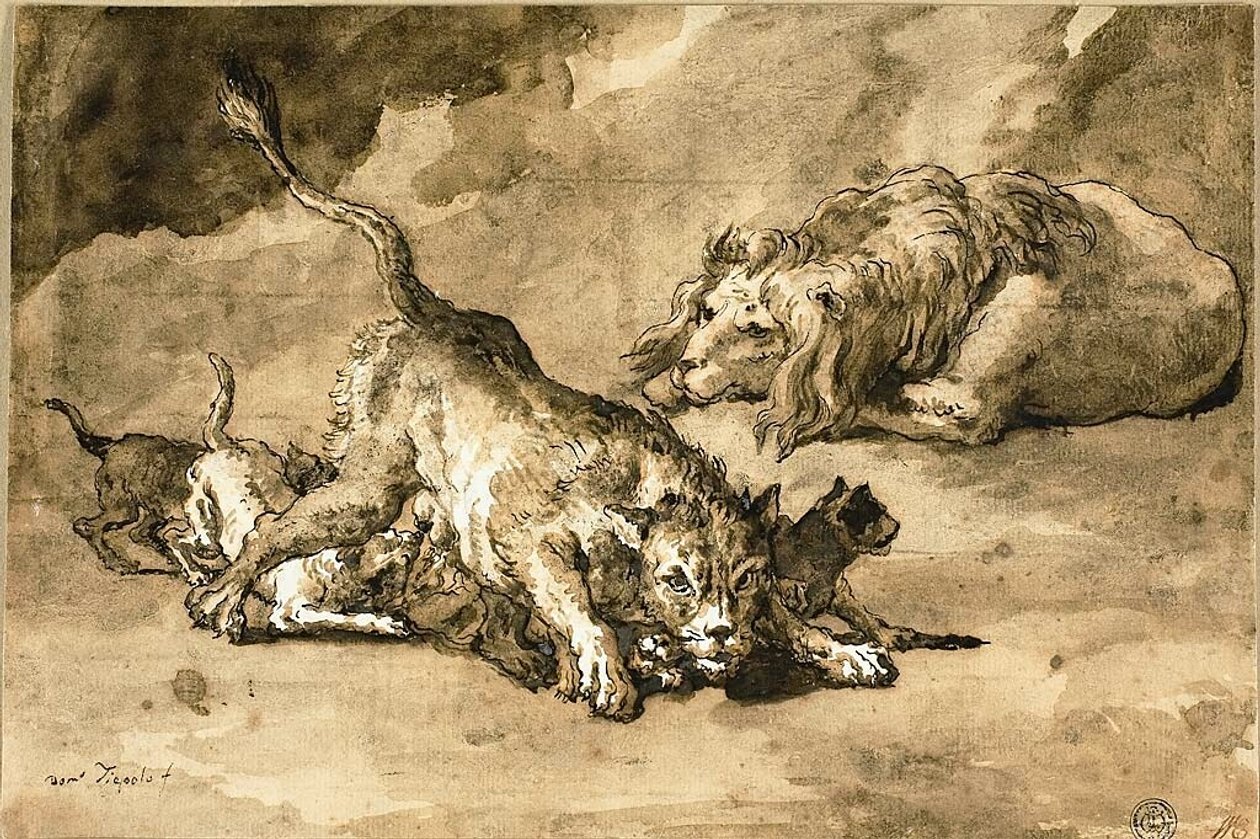 Leone, leonessa e cuccioli da Giovanni Domenico Tiepolo